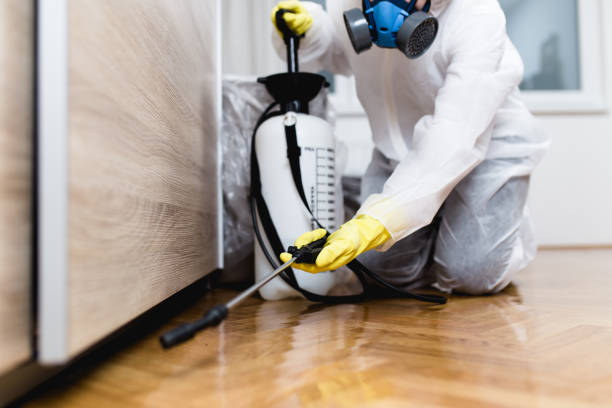 Best Rat Extermination Near Me  in Carthage, TN