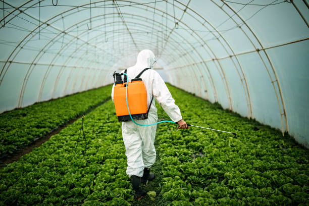 Best Commercial Pest Control Services  in Carthage, TN