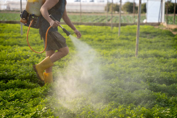 Best Wasp Removal Services  in Carthage, TN