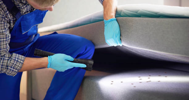 Best Pest Control Near Me  in Carthage, TN