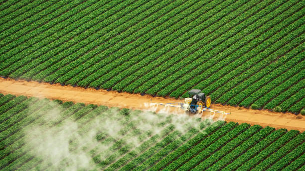 Best Pest Removal Services  in Carthage, TN