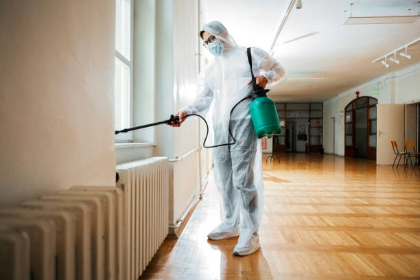 Best Mosquito Control Services  in Carthage, TN