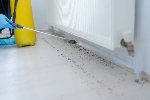Best Exterminator Services  in Carthage, TN