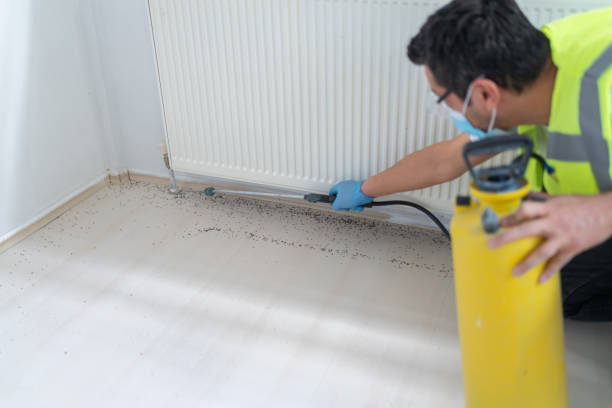 Best Pest Prevention Services  in Carthage, TN